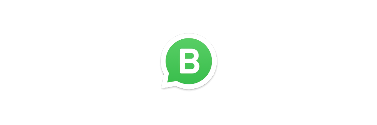kniebrett.ch accessible via Whatsapp Business - 