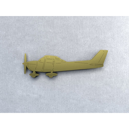Cessna 172 gold