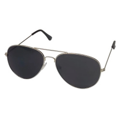 Aviator Sunglasses (55mm) Silver