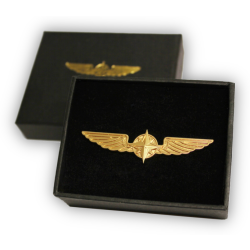 Pilot Wings